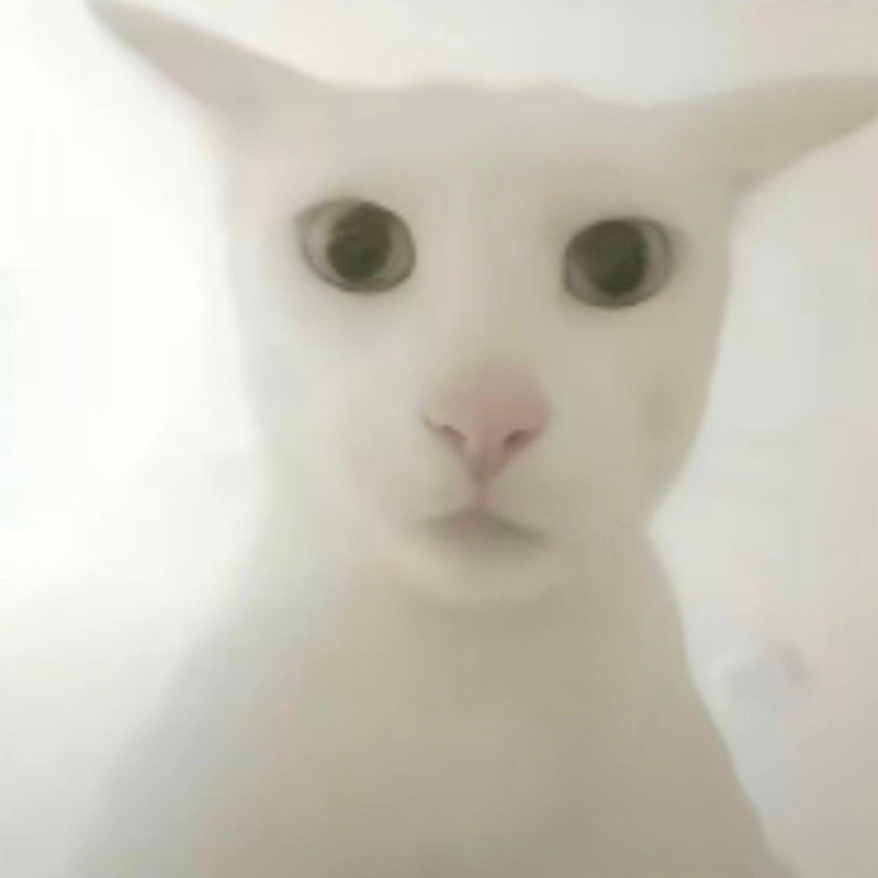 老吴 coin